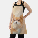 Buscar chihuahua delantales Cachorro