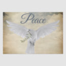 Buscar paloma blanca papel de seda Pájaro