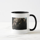 Buscar perro el dormir tazas Cansado