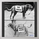Buscar bienestar animal posters Crueldad