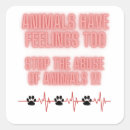 Buscar abuso animal Maltrato