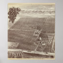 Buscar tulare posters Tono