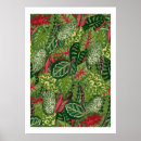 Buscar follaje posters Plantas