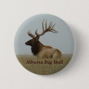 Buscar toros chapas Naturaleza