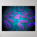 Buscar bioquímica posters Médico
