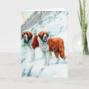 Buscar san bernardo tarjetas Saint bernard