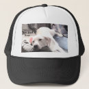 Buscar perro blanco gorras Adorable