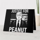 Buscar elección tarjetas América