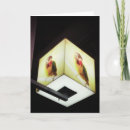 Buscar loros tarjetas Fotografía