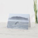 Buscar jim tarjetas Invierno