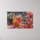 Buscar colores del otoño lienzos Naturaleza