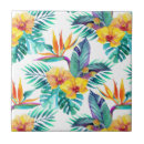 Buscar pájaros exóticos azulejos Floral