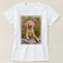 Buscar rust camisetas Perro