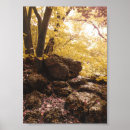 Buscar espina dorsal posters Fotografía