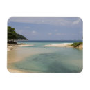 Buscar sergio imanes Escénico