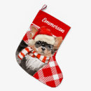 Buscar chihuahua calcetines navideños Vacaciones