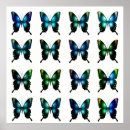 Buscar mariposas tropicales posters Para niños