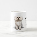 Buscar perro maltés tazas Cachorro