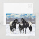 Buscar caballos negros postales Rancho