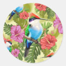 Buscar colibrí pegatinas Animales
