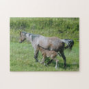 Buscar yeguas puzzles Potro