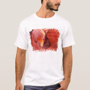 Buscar roca roja arizona camisetas Arenisca
