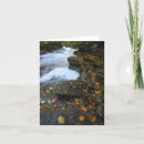 Buscar península superior tarjetas Naturaleza