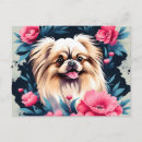 Buscar pekingese postales Lindo