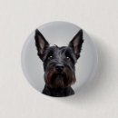 Buscar cabeza de perro chapas 1 ª cabeza