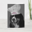 Buscar cocinero tarjetas Perro
