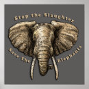 Buscar elefante gráfico posters Vida silvestre