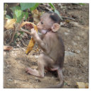 Buscar monkey azulejos General y unisex