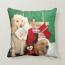 Buscar perros perdigueros de oro cojines Para todos