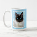 Buscar gatos siameses tazas Gatito