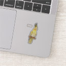 Buscar cockatiel electronica Para todos
