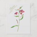 Buscar minimal postales Elegante