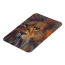 Buscar leon imanes Gatos