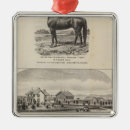 Buscar arcilla adornos Kansas