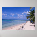 Buscar clima tropical posters Azul