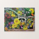 Buscar mapaches puzzles Vida silvestre