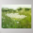 Buscar ana posters Verde