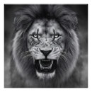 Buscar rey de la selva posters Animal