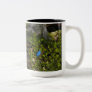 Buscar pixie tazas Cuento de hadas