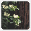 Buscar yosemite pegatinas 6 º estadía