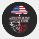 Buscar perro maltés pegatinas Maltipoo