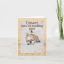Buscar perro durmiendo tarjetas Adorable