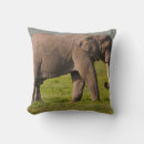 Buscar elefante africano cojines África
