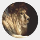 Buscar rey del león pegatinas Jungla