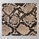 Buscar serpiente blanca posters Fondo