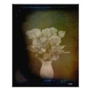 Buscar rosas antiguas posters Flores